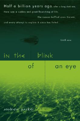 IN THE BLINK OF AN EYE
