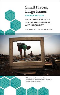 Small Places, Large Issues: An Introduction to Social and Cultural Anthropology (Anthropology, Culture and Society)