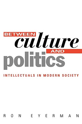 Between Culture and Politics: Intellectuals in Modern Society