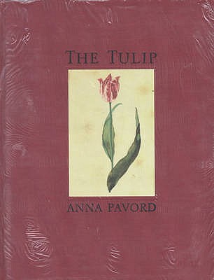 The Tulip