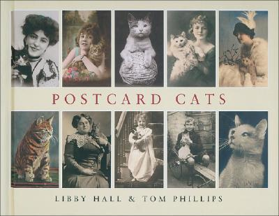 Postcard Cats
