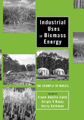 Industrial Uses of Biomass Energy: The Example of Brazil