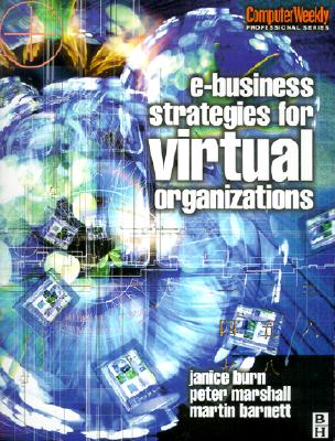 e-Business Strategies for Virtual Organizations (Computer Weekly Professional Series)
