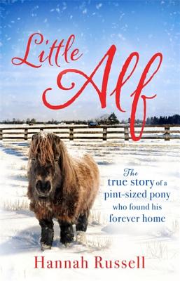 Little Alf: The true story of a pint-sized pony who found his forever home