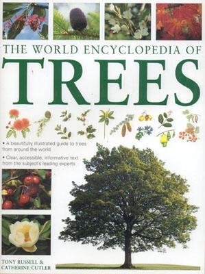 Image for The World Encyclopedia of Trees The World Encyclopedia of Trees