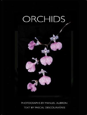ORCHIDS