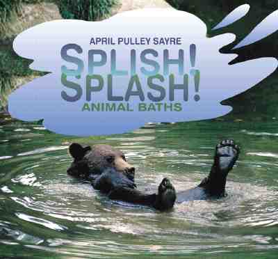 Image for Splish! Splash! Animal Baths Splish! Splash! Animal Baths