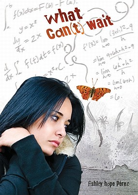 What Can't Wait (Carolrhoda Ya)