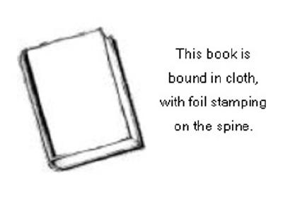 Beyond Visual Perspective