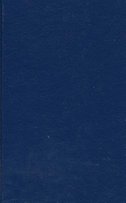 Beyond Visual Perspective