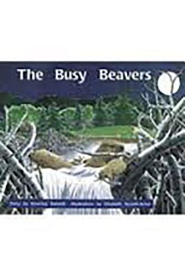 Rigby PM Collection: Individual Student Edition Orange (Levels 15-16) The Busy Beavers