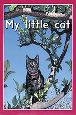 Image for My Little Cat My Little Cat