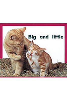 Image for Big and Little, PM Plus, Starters Level 2 Big and Little, PM Plus, Starters Level 2