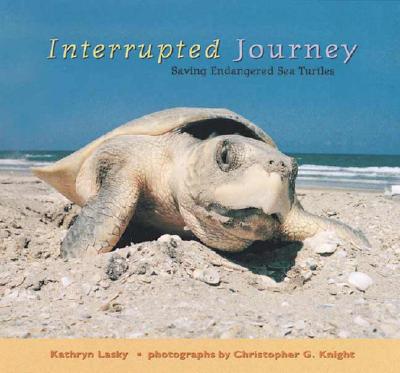 INTERRUPTED JOURNEY: SAVING ENDANGERED SEA TURTLES