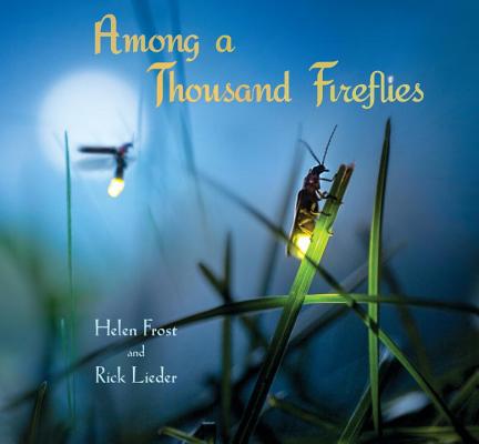 Image for Among a Thousand Fireflies (Step Gently, Look Closely) Among a Thousand Fireflies (Step Gently, Look Closely)