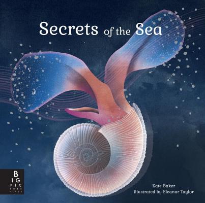 Image for Secrets of the Sea Secrets of the Sea