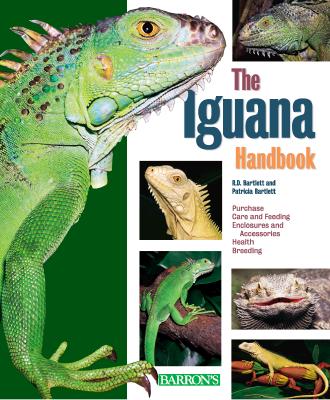 Image for Iguana Handbook (Barron's Pet Handbooks)