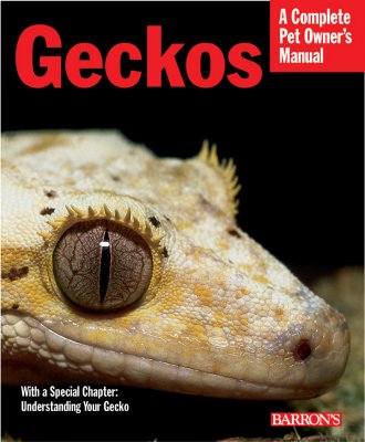 Geckos