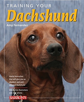 Training Your Dachshund (Training Your Dog)