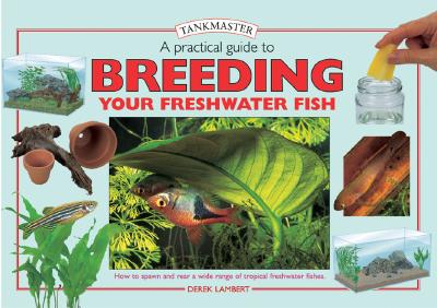 A Practical Guide to Breeding Your Freshwater Fish (Tankmasters Series)