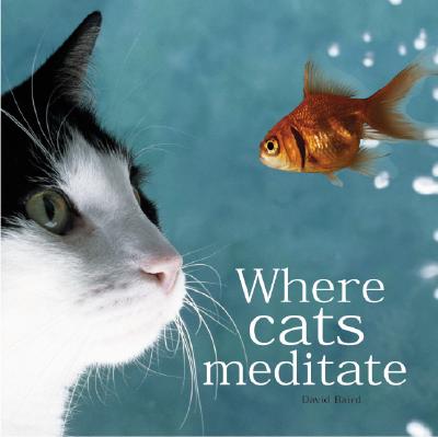 Where Cats Meditate
