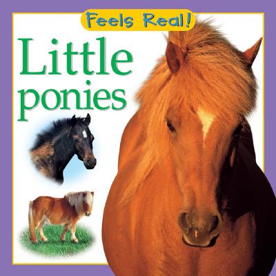 Image for Little Ponies (Feels Real Books) Little Ponies (Feels Real Books)