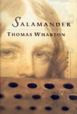 SALAMANDER