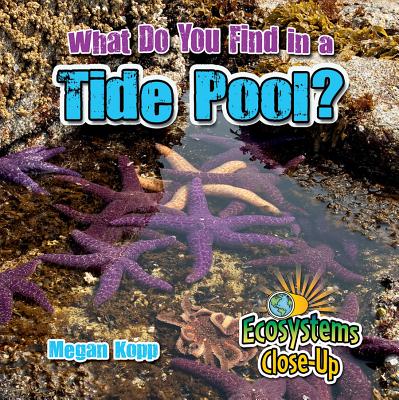 What Do You Find in a Tide Pool (Ecosystems Close-Up)