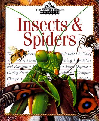 Insects & Spiders