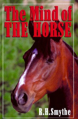The Mind of the Horse