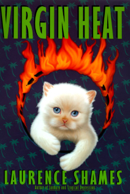 Virgin Heat: A Novel