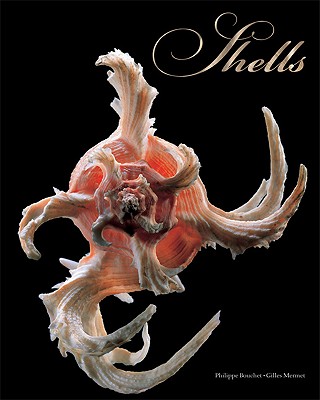 Shells