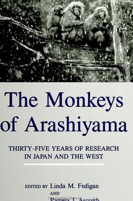 The Monkeys Of Arashiyama