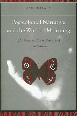 Postcolonial Narrative and the Work of Mourning: J.M. Coetzee, Wilson Harris, and Toni Morrison (Explorations Postcolon Studies)