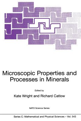 Microscopic Properties and Processes in Minerals (Nato Science Series C:, 543)