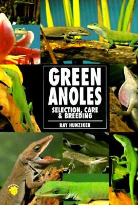 Image for The Guide to Owning a Green Anole