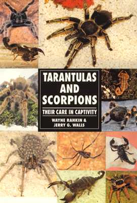 Image for Tarantulas and Scorpions Tarantulas and Scorpions