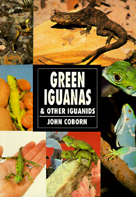 Image for Green Iguanas and Other Iguanids