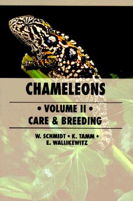 The Guide to Owning a Chameleon