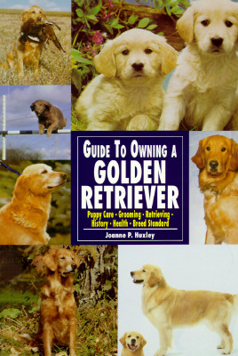 Guide to Own Golden Retriever (Re Dog)