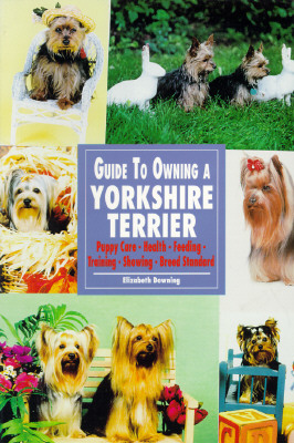 Image for GUIDE TO OWNING A YORKSHIRE TERRIER
