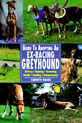 Image for Guide to Adopting an Ex-Racing Greyhound