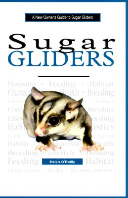A New Owner's Guide to Sugar Gliders