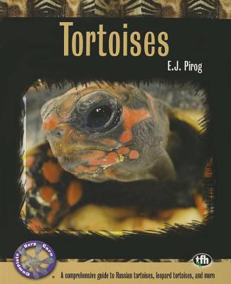 Tortoises: A Comprehensive Guide to Russian Tortoises, Leopard Tortoises, and more (Complete Herp Care)