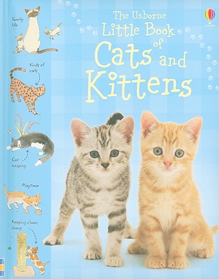 The Usborne Little Book of Cats and Kittens