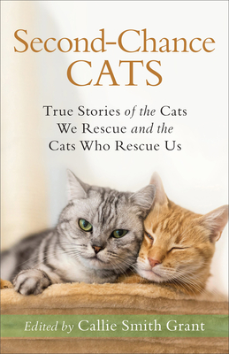 Image for Second-Chance Cats: True Stories of the Cats We Rescue and the Cats Who Rescue Us