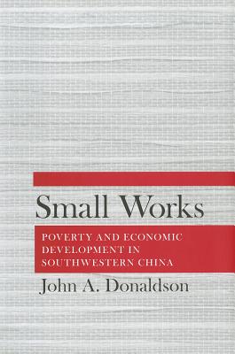 Small Works: Poverty and Economic Development in Southwestern China