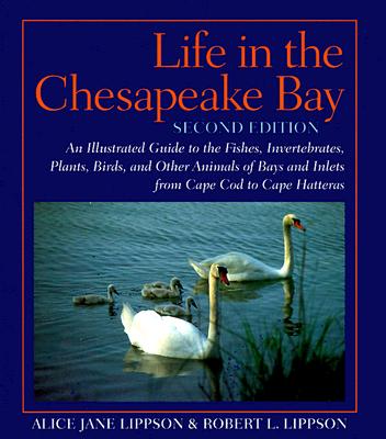 Life in the Chesapeake Bay