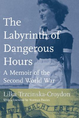 Image for Labyrinth Of Dangerous Hours: A Memoir Of The Second World War, The