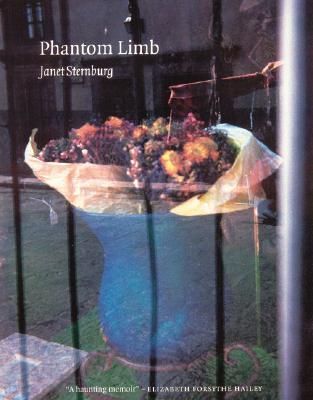 Image for Phantom Limb (American Lives)
